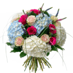 Blush & Bluebell